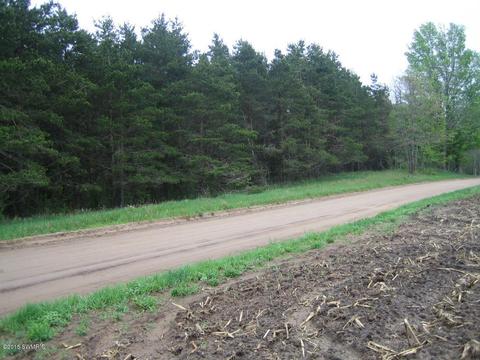 5500 E Tyler Rd, Walkerville, MI 49459 photo 2