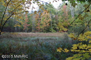 2811 N Wisner Ave, White Cloud, MI 49349 photo 3