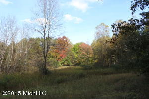 2811 N Wisner Ave, White Cloud, MI 49349 photo 43