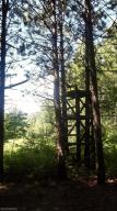 2811 N Wisner Ave, White Cloud, MI 49349 photo 19