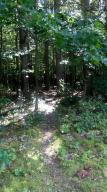 2811 N Wisner Ave, White Cloud, MI 49349 photo 46