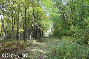 2811 N Wisner Ave, White Cloud, MI 49349 photo 42