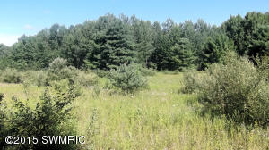 2811 N Wisner Ave, White Cloud, MI 49349 photo 35