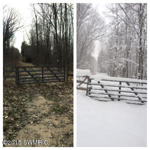 2811 N Wisner Ave, White Cloud, MI 49349 photo 39