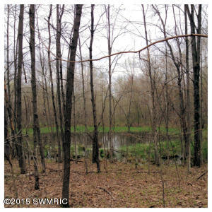2811 N Wisner Ave, White Cloud, MI 49349 photo 40