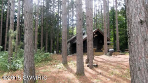 2811 N Wisner Ave, White Cloud, MI 49349 photo 27