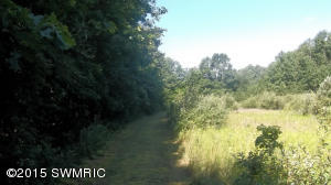 2811 N Wisner Ave, White Cloud, MI 49349 photo 34