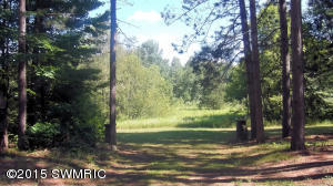 2811 N Wisner Ave, White Cloud, MI 49349 photo 33