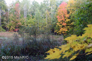 2811 N Wisner Ave, White Cloud, MI 49349 photo 48