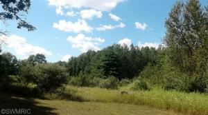2811 N Wisner Ave, White Cloud, MI 49349 photo 20