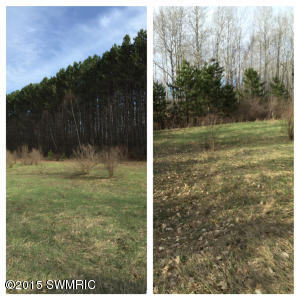 2811 N Wisner Ave, White Cloud, MI 49349 photo 37