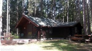 2811 N Wisner Ave, White Cloud, MI 49349 photo 45