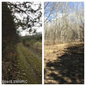 2811 N Wisner Ave, White Cloud, MI 49349 photo 36