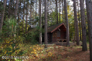 2811 N Wisner Ave, White Cloud, MI 49349 photo 1