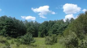 2811 N Wisner Ave, White Cloud, MI 49349 photo 21