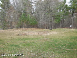 77 Maple Ridge Rd, Newaygo, MI 49337 photo 20
