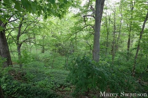 1503 Broadview Dr, Jenison, MI 49428 photo 23