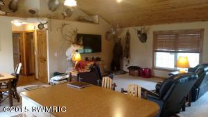 3059 Pine Dr SW, Stanton, MI 48888 photo 6