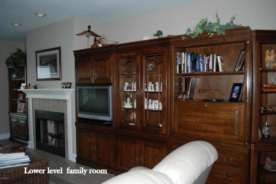 323 Caroline Dr, Coldwater, MI 49036 photo 71