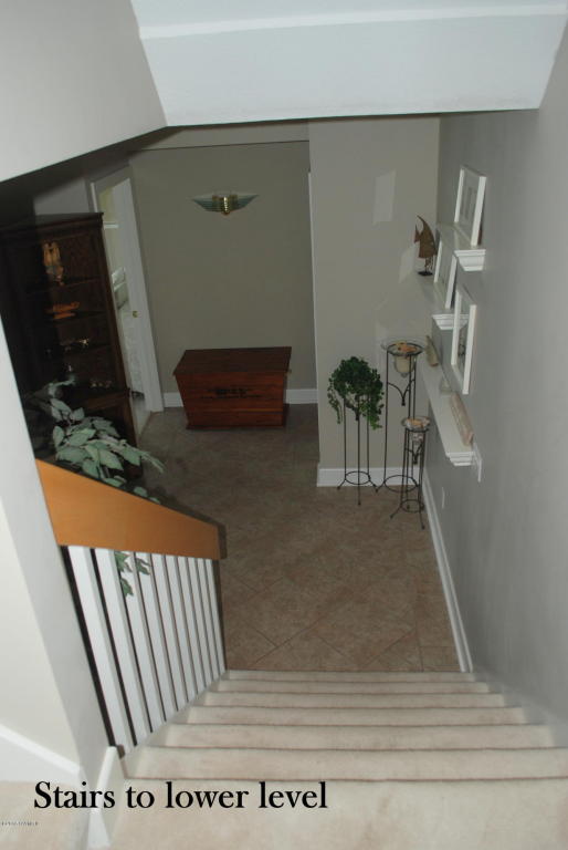 323 Caroline Dr, Coldwater, MI 49036 photo 62