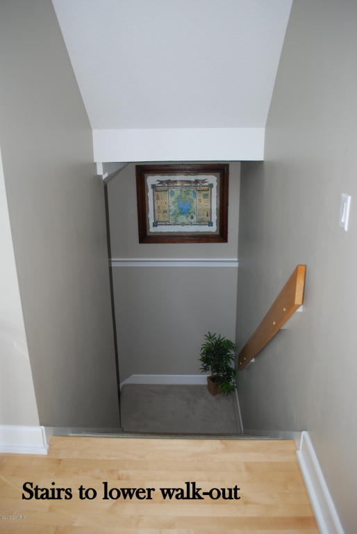 323 Caroline Dr, Coldwater, MI 49036 photo 35