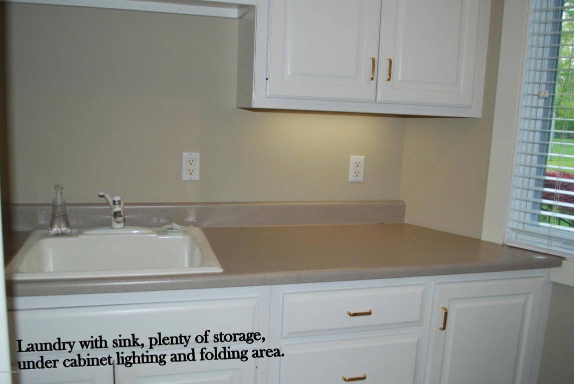 323 Caroline Dr, Coldwater, MI 49036 photo 30