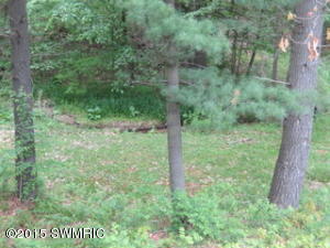 744 N Shaw Rd, Bailey, MI 49303 photo 20