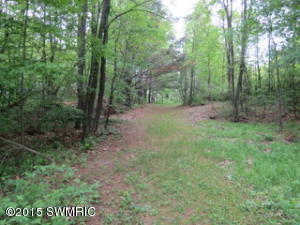 744 N Shaw Rd, Bailey, MI 49303 photo 23