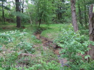 744 N Shaw Rd, Bailey, MI 49303 photo 22