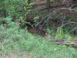 744 N Shaw Rd, Bailey, MI 49303 photo 19