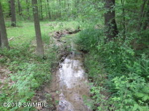 744 N Shaw Rd, Bailey, MI 49303 photo 21