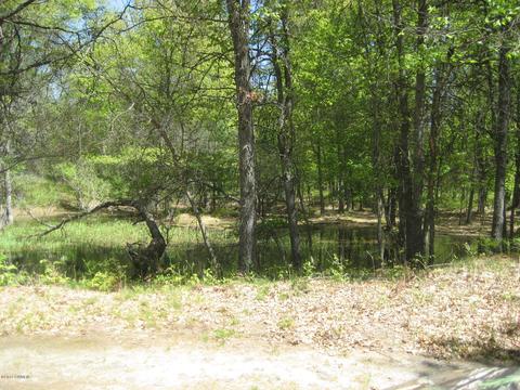 4585 N Spruce Ave, White Cloud, MI 49349 photo 30