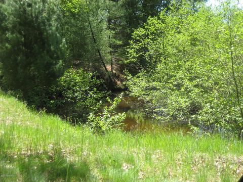 4585 N Spruce Ave, White Cloud, MI 49349 photo 12