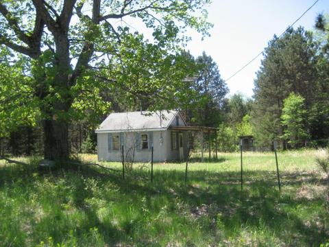 4585 N Spruce Ave, White Cloud, MI 49349 photo 2