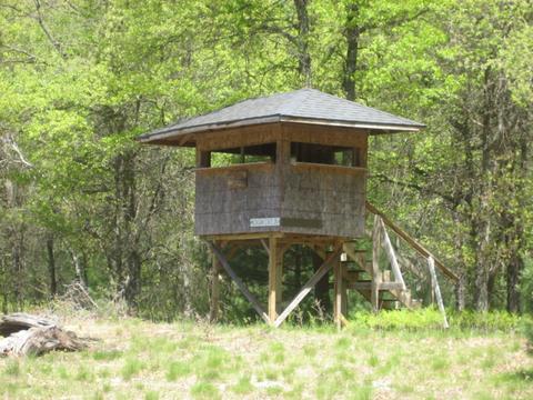 4585 N Spruce Ave, White Cloud, MI 49349 photo 21