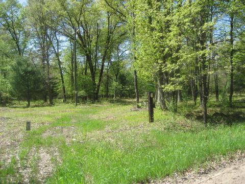 4585 N Spruce Ave, White Cloud, MI 49349 photo 32