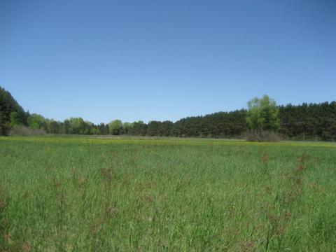 4585 N Spruce Ave, White Cloud, MI 49349 photo 24