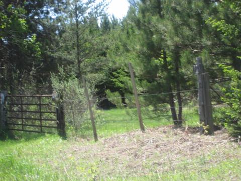 4585 N Spruce Ave, White Cloud, MI 49349 photo 3