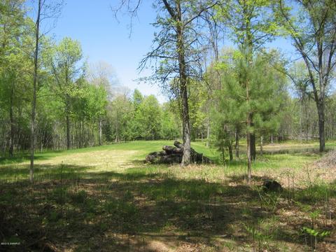 4585 N Spruce Ave, White Cloud, MI 49349 photo 19