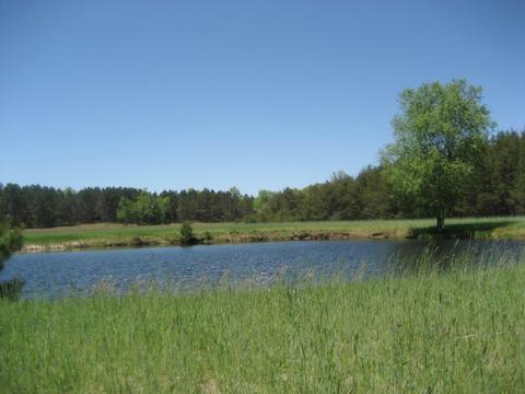 4585 N Spruce Ave, White Cloud, MI 49349 photo 8