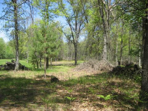 4585 N Spruce Ave, White Cloud, MI 49349 photo 18