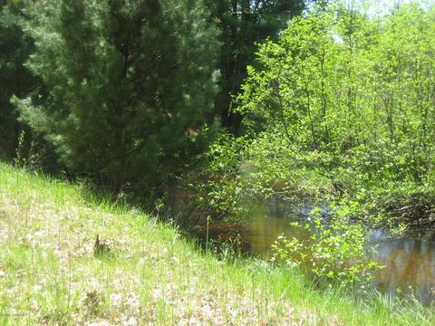 4585 N Spruce Ave, White Cloud, MI 49349 photo 14