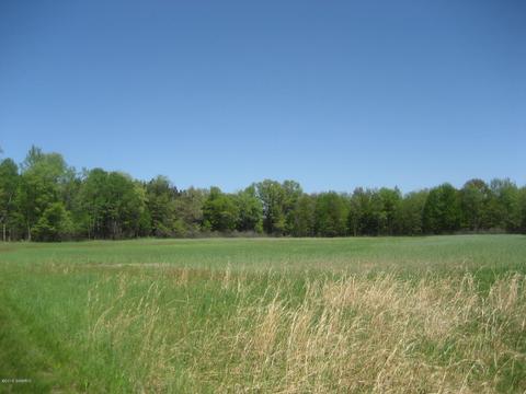4585 N Spruce Ave, White Cloud, MI 49349 photo 23