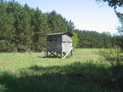 4585 N Spruce Ave, White Cloud, MI 49349 photo 26