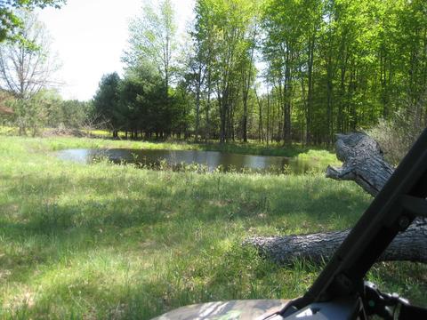 4585 N Spruce Ave, White Cloud, MI 49349 photo 25
