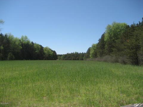 4585 N Spruce Ave, White Cloud, MI 49349 photo 7