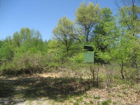 4585 N Spruce Ave, White Cloud, MI 49349 photo 29