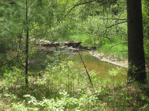 4585 N Spruce Ave, White Cloud, MI 49349 photo 17