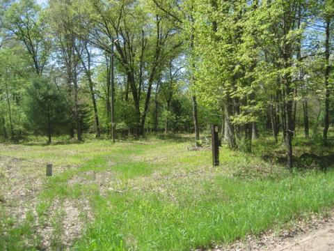 4585 N Spruce Ave, White Cloud, MI 49349 photo 1