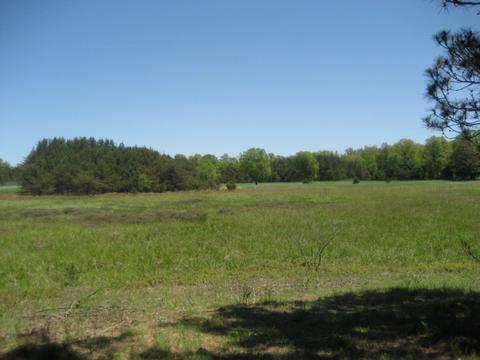 4585 N Spruce Ave, White Cloud, MI 49349 photo 9